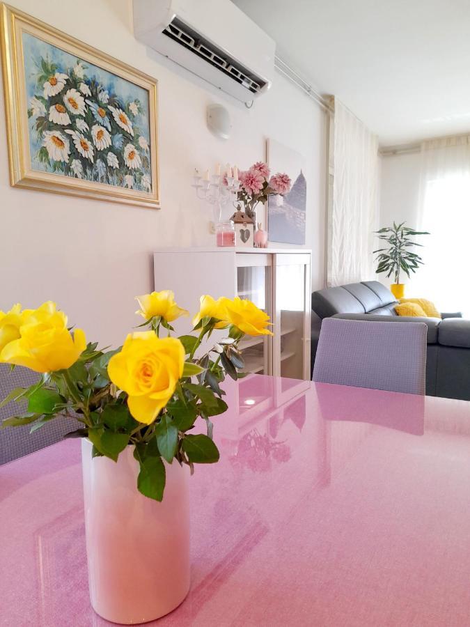 זאדאר Apartment Ema מראה חיצוני תמונה